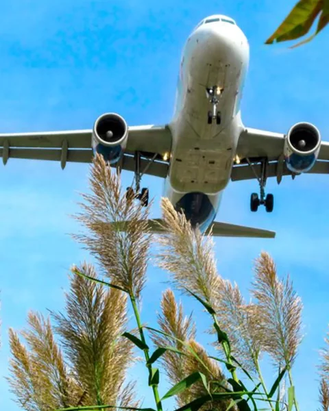 transport regulation